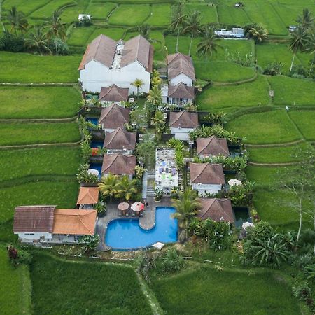 Tanta Escape Hotel Tegallalang  Exterior foto